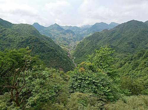 1557480102853400.png 图片1.png