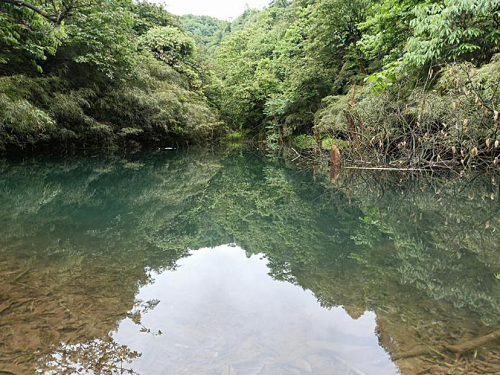 1557480242745899.png 图片7.png
