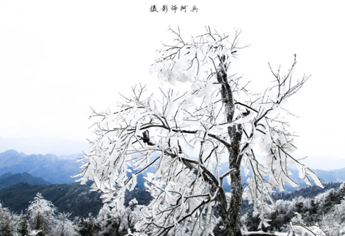 1557480263326598.png 图片10.png