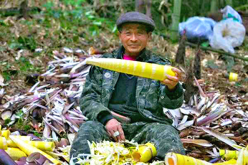 1557480302540123.png 图片14.png