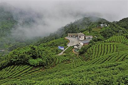 m_226ca98750a388ca794fd60e37fb06be.jpg