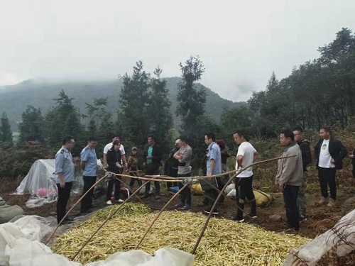 QQ图片20191107162557.jpg