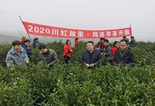 微信截图_20200120161607.png