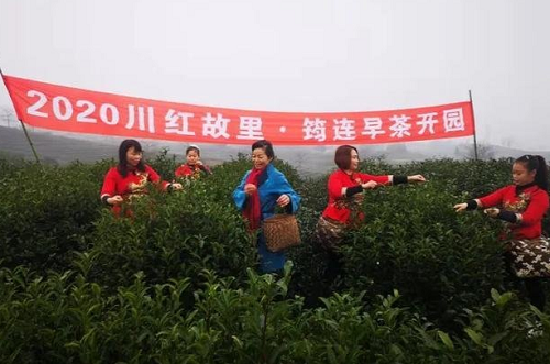 微信截图_20200120161509.png