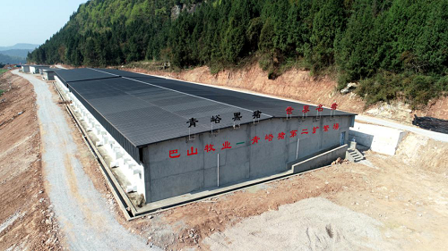 1584708447767695.png 图片3.png