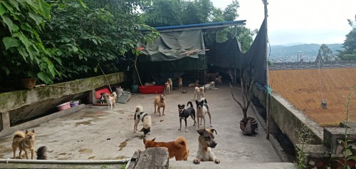 微信图片_20200817175513.jpg