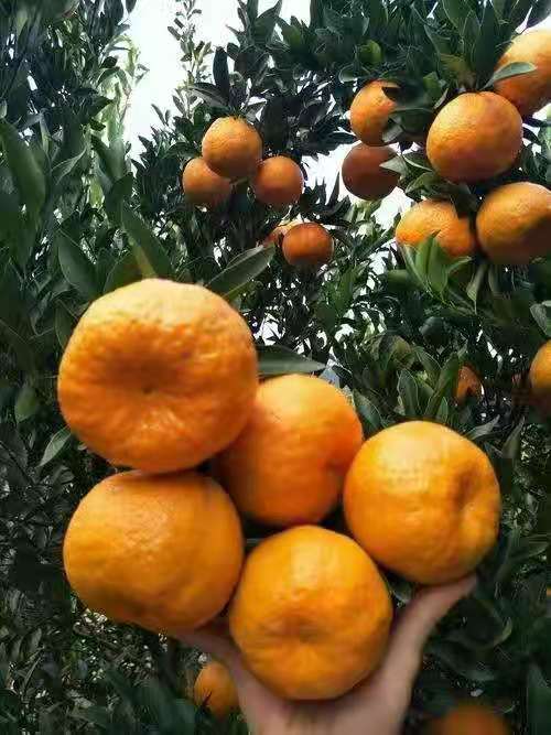 微信图片_20201217163434.jpg
