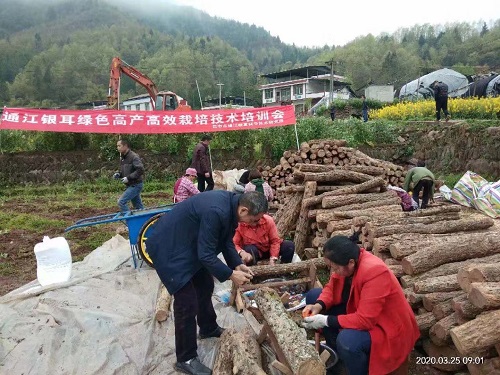 通江县1.jpg