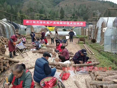 通江县2.jpg