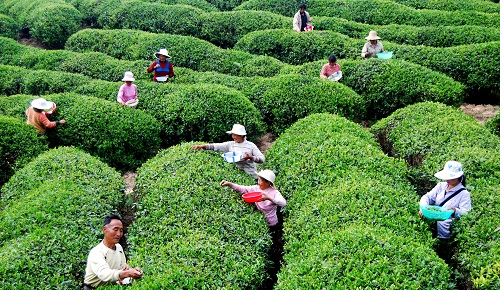 1622158785310540.jpg 微信图片_20210528073704.jpg