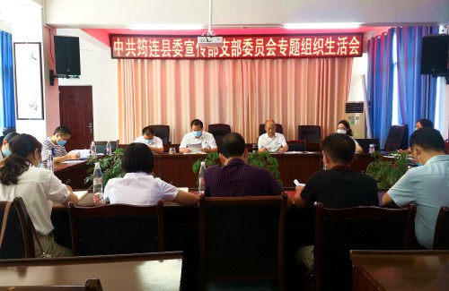 专题组织生活会.jpg