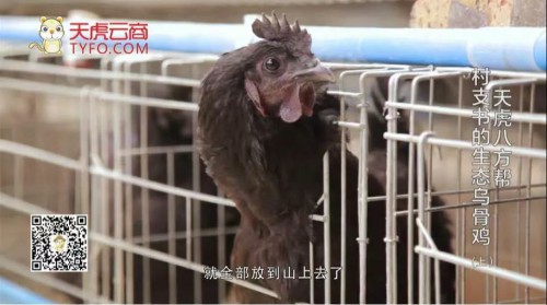 微信图片_20210811172135.jpg