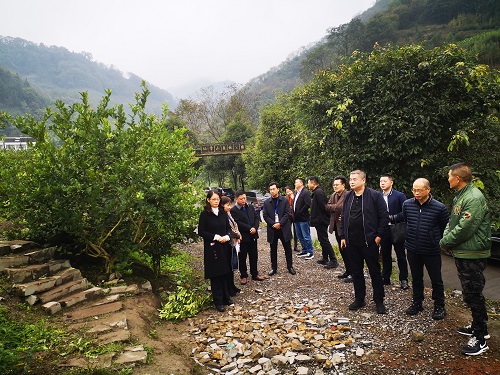 察看基地 筠连县委宣传部供图.jpg