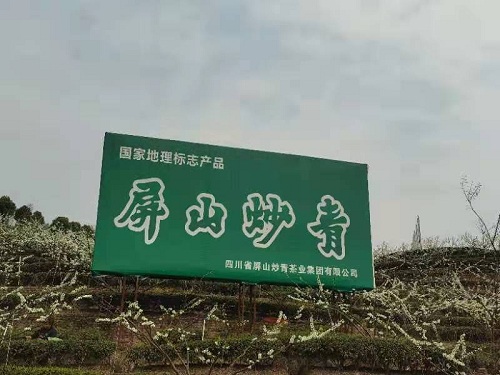 767b8662d8587340f3577e027cf4936.jpg