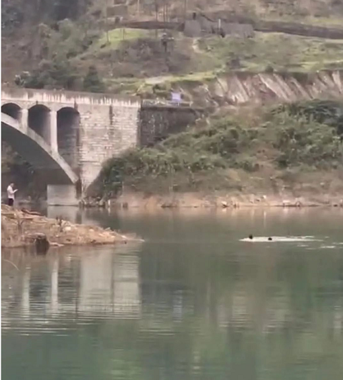 1654495847757086.png clip_image001.png